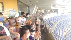 野球観戦